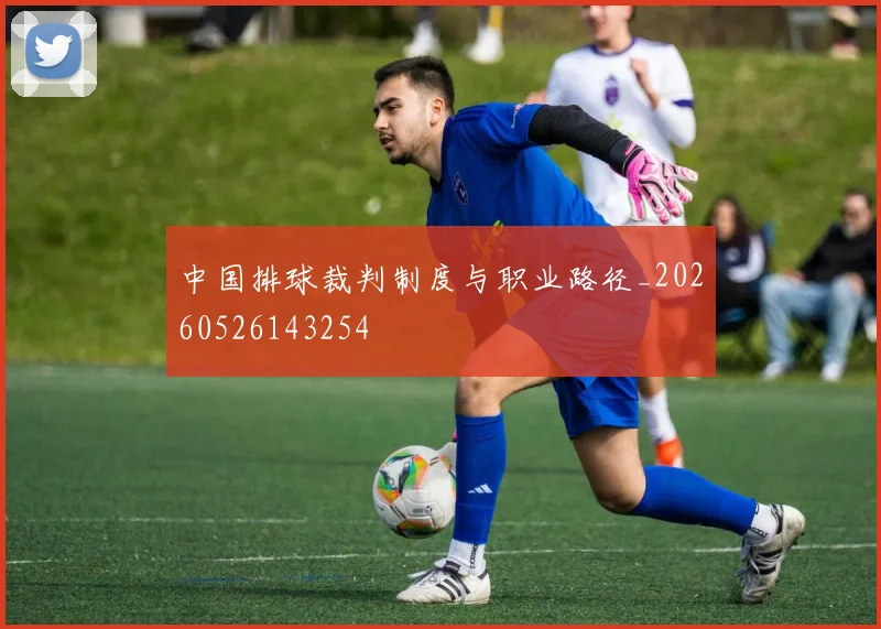 中国排球裁判制度与职业路径_20260526143254
