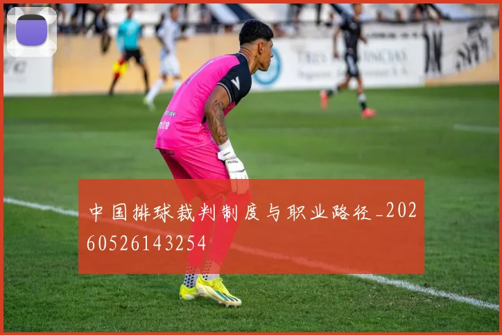 中国排球裁判制度与职业路径_20260526143254